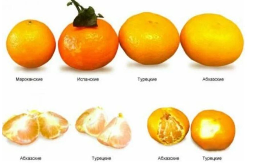 У отца есть 5 попарно различных апельсинов. Мандарин сорт Мандора. Цитрус мандарин (плоды желто-оранжевые). Мандарины сорт Добеши.
