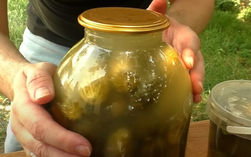 Ароматные квашеные огурчики на зиму. Хрустят, как бочковые: рецепт без уксуса и сахара Ароматные квашеные огурчики на зиму. Хрустят, как бочковые: рецепт без уксуса и сахара