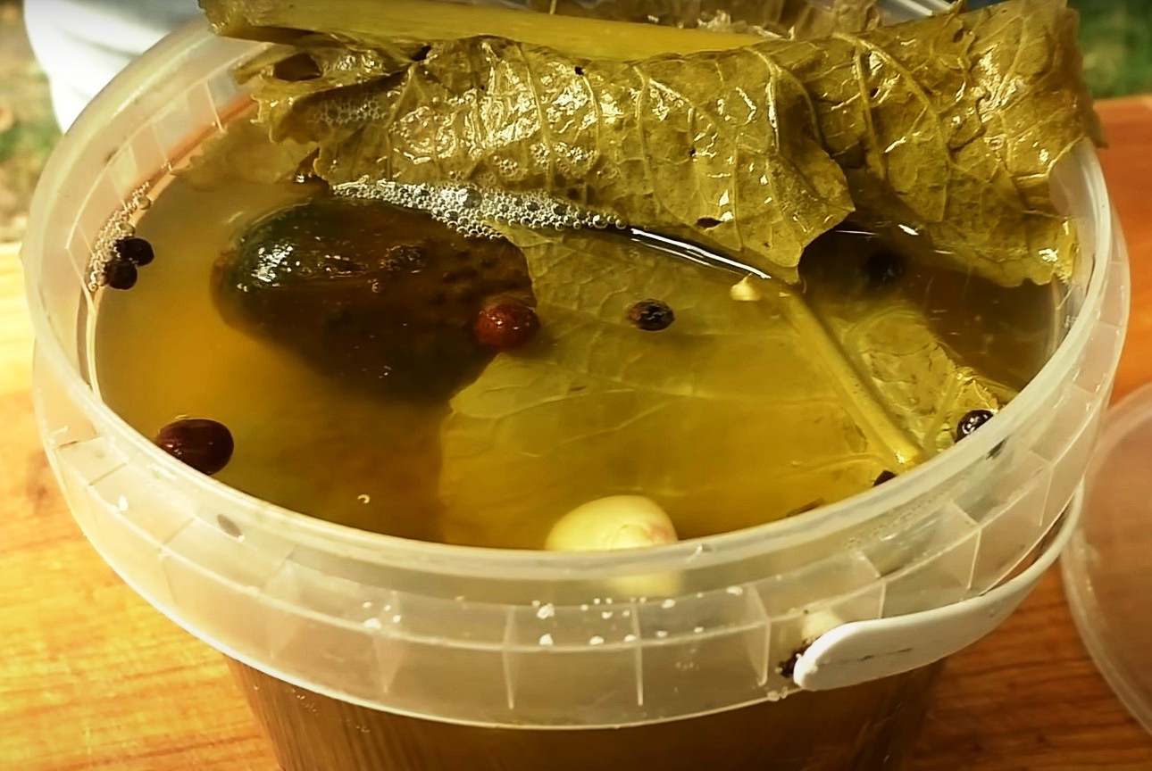 Ароматные квашеные огурчики на зиму. Хрустят, как бочковые: рецепт без уксуса и сахара Ароматные квашеные огурчики на зиму. Хрустят, как бочковые: рецепт без уксуса и сахара