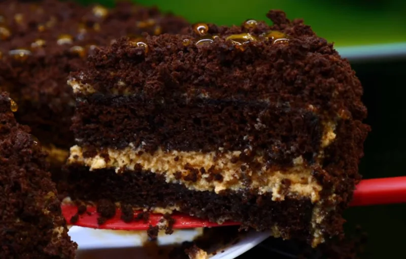 Кусок шоколадного торта "Пражское настроение" в разрезе